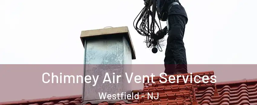  Chimney Air Vent Services Westfield - NJ