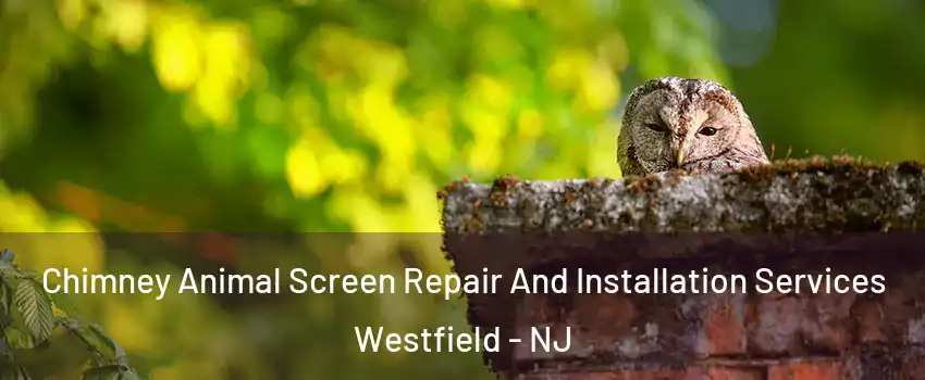  Chimney Animal Screen Repair And Installation Services Westfield - NJ