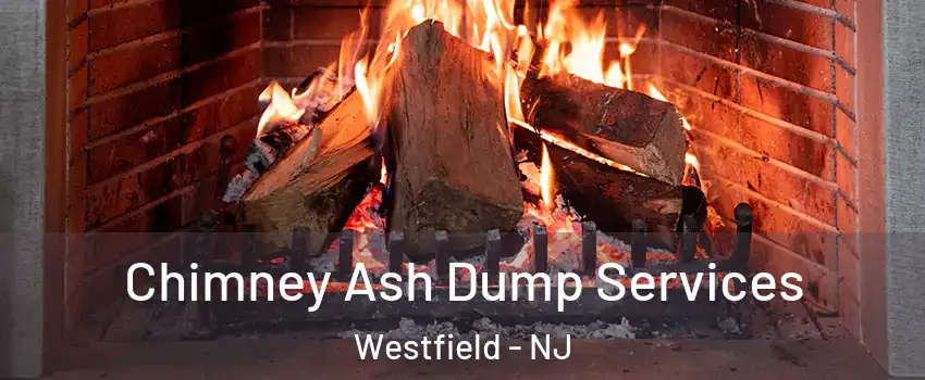 Chimney Ash Dump Services Westfield - NJ