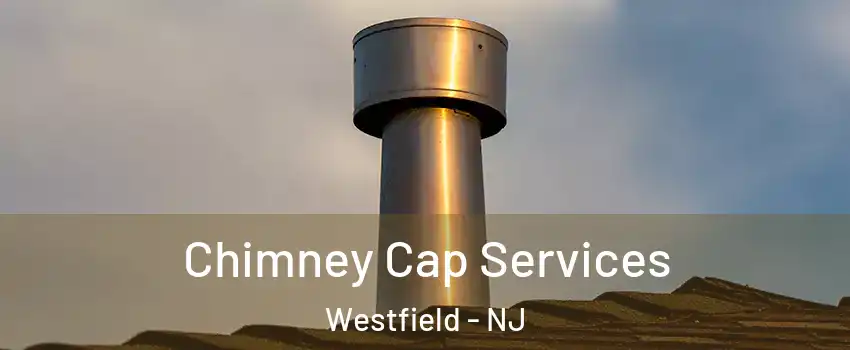  Chimney Cap Services Westfield - NJ