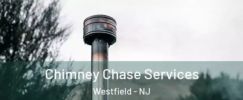  Chimney Chase Services Westfield - NJ