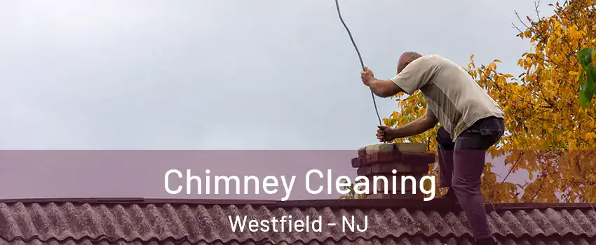  Chimney Cleaning Westfield - NJ