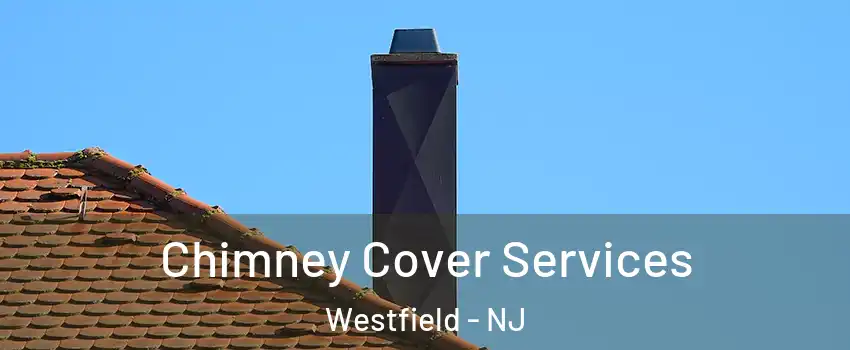 Chimney Cover Services Westfield - NJ