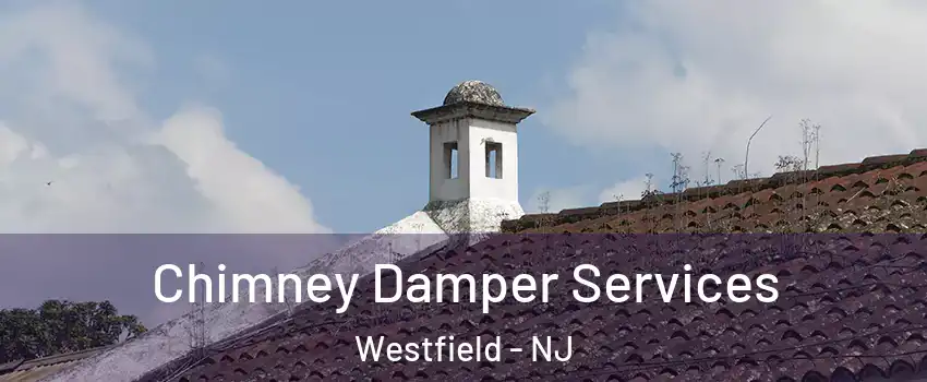  Chimney Damper Services Westfield - NJ