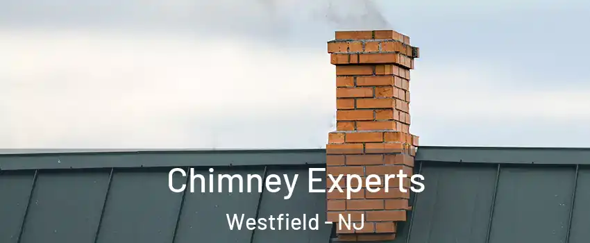 Chimney Experts Westfield - NJ