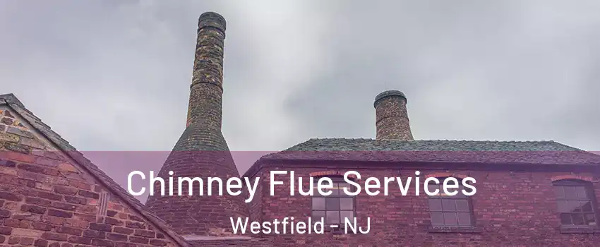  Chimney Flue Services Westfield - NJ