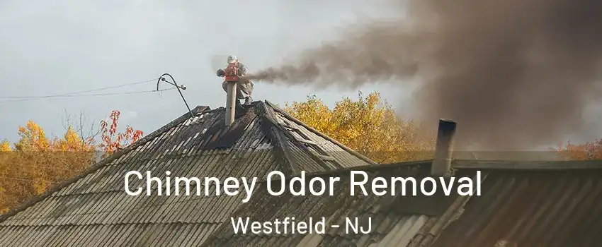  Chimney Odor Removal Westfield - NJ