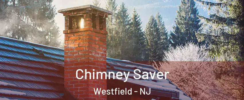  Chimney Saver Westfield - NJ