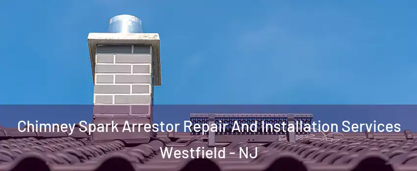  Chimney Spark Arrestor Repair And Installation Services Westfield - NJ