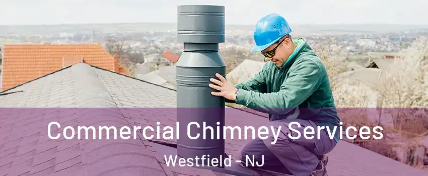  Commercial Chimney Services Westfield - NJ