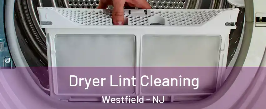  Dryer Lint Cleaning Westfield - NJ