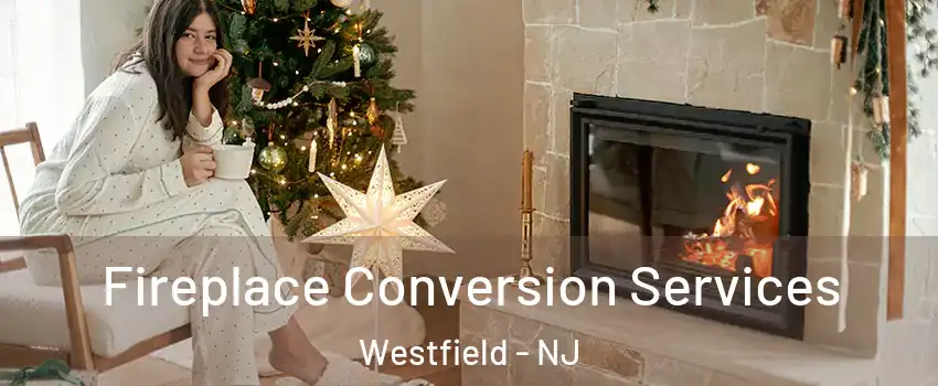  Fireplace Conversion Services Westfield - NJ