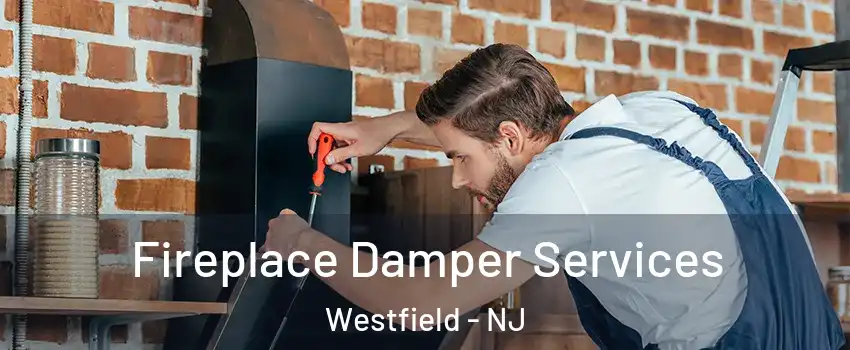  Fireplace Damper Services Westfield - NJ