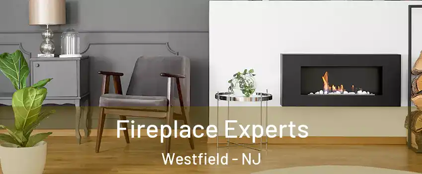  Fireplace Experts Westfield - NJ