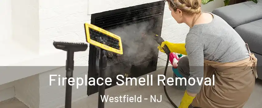  Fireplace Smell Removal Westfield - NJ