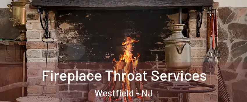  Fireplace Throat Services Westfield - NJ
