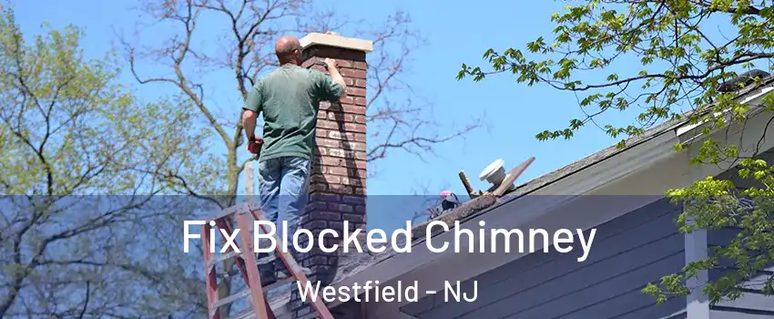  Fix Blocked Chimney Westfield - NJ