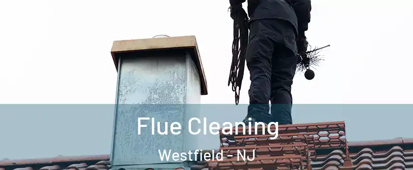  Flue Cleaning Westfield - NJ