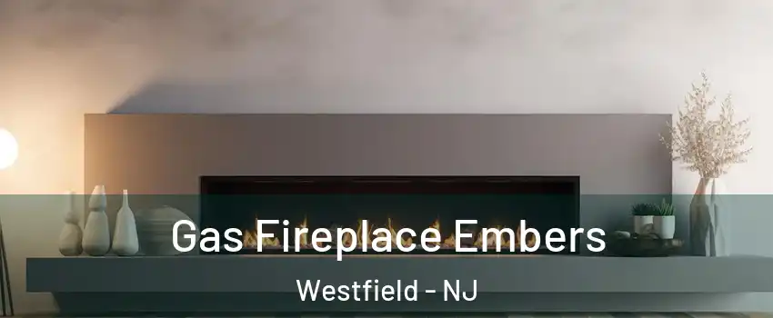  Gas Fireplace Embers Westfield - NJ