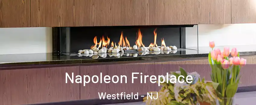  Napoleon Fireplace Westfield - NJ