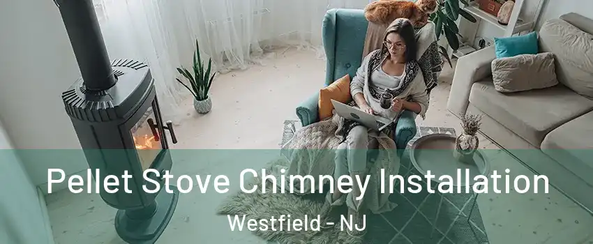  Pellet Stove Chimney Installation Westfield - NJ